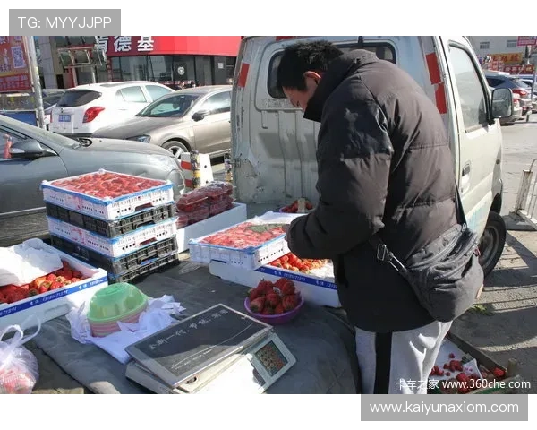 开云滚球技术分析与趋势预测，助你把握市场动态赢得先机