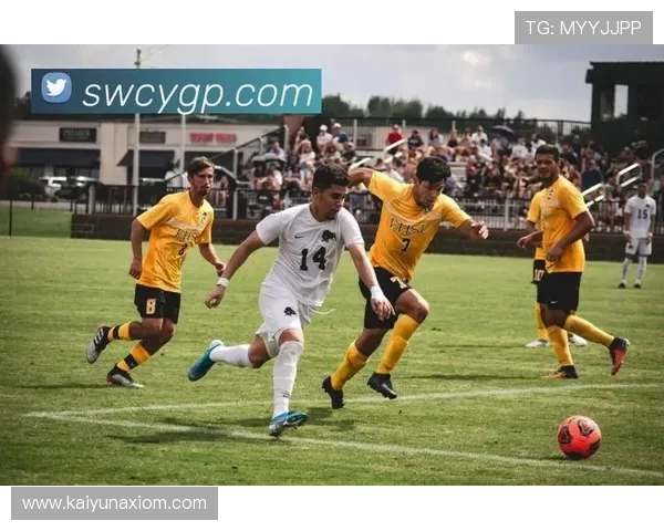 开云体育体育：体育赛事直播的创新技术与观众互动新体验