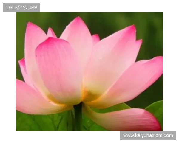 官方正版开运app免费下载，提供专业运势预测，助你开启好运人生