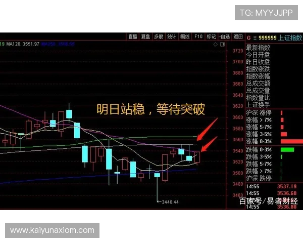 开云集团有哪些板块全面解析，助你了解其多元化业务布局